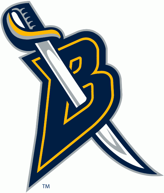 Buffalo Sabres 2006-2012 Alternate Logo fabric transfer version 2